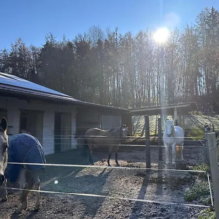 Διαμέρισμα Mit Sonniger Dachterrasse Am Pferdehof Eichendorf